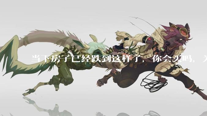 当下房子已经跌到这样了，你会买吗，为什么？
