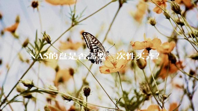 NAS的盘是否需要一次性买齐？