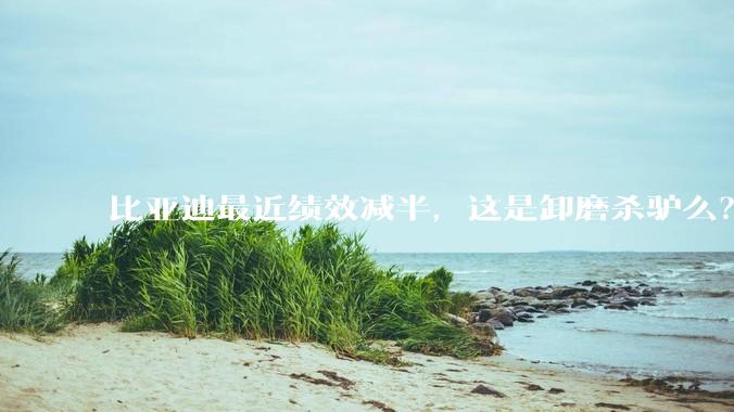 比亚迪最近绩效减半，这是卸磨杀驴么？